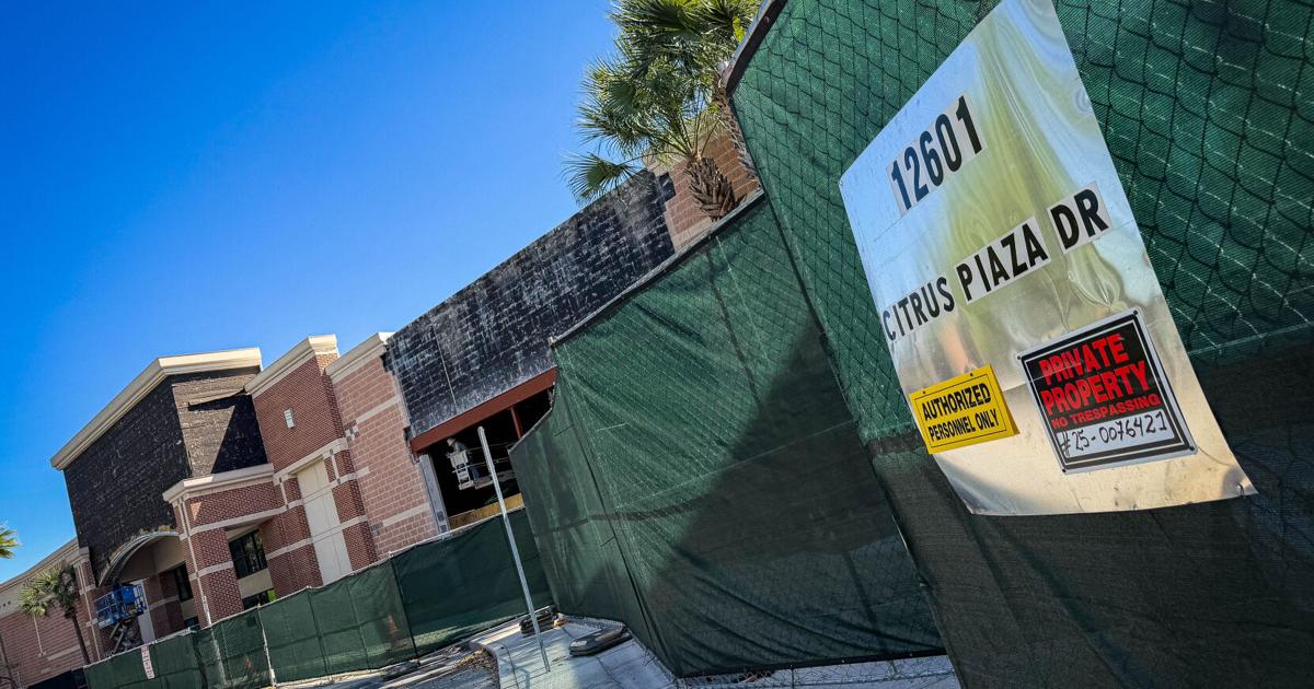 Three new stores headed to Citrus Park Plaza | News