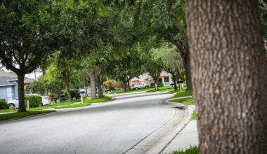 Pasco finalizes new tree preservation rules, mitigation fund | Pasco County