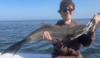 The Tampa Bay Fishin’ Report: Mangroves near Gandy Bridge a good spot | Sports