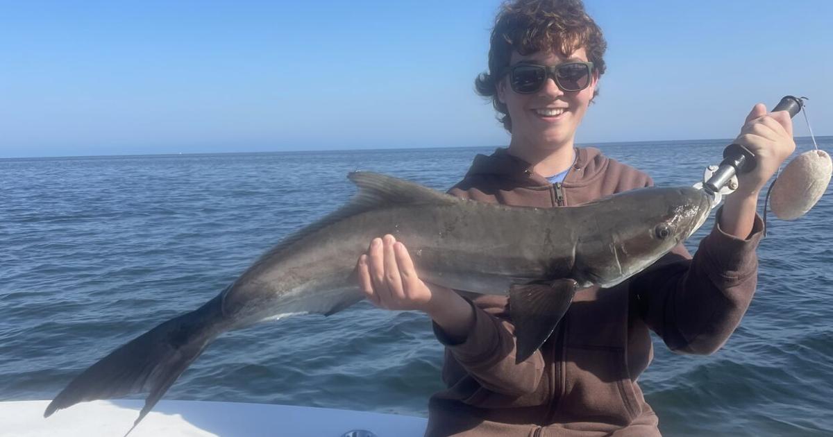 The Tampa Bay Fishin’ Report: Mangroves near Gandy Bridge a good spot | Sports