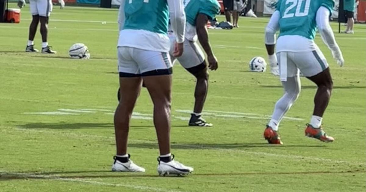 Florida AG challenges NFL Rooney Rule over Dolphins | Florida