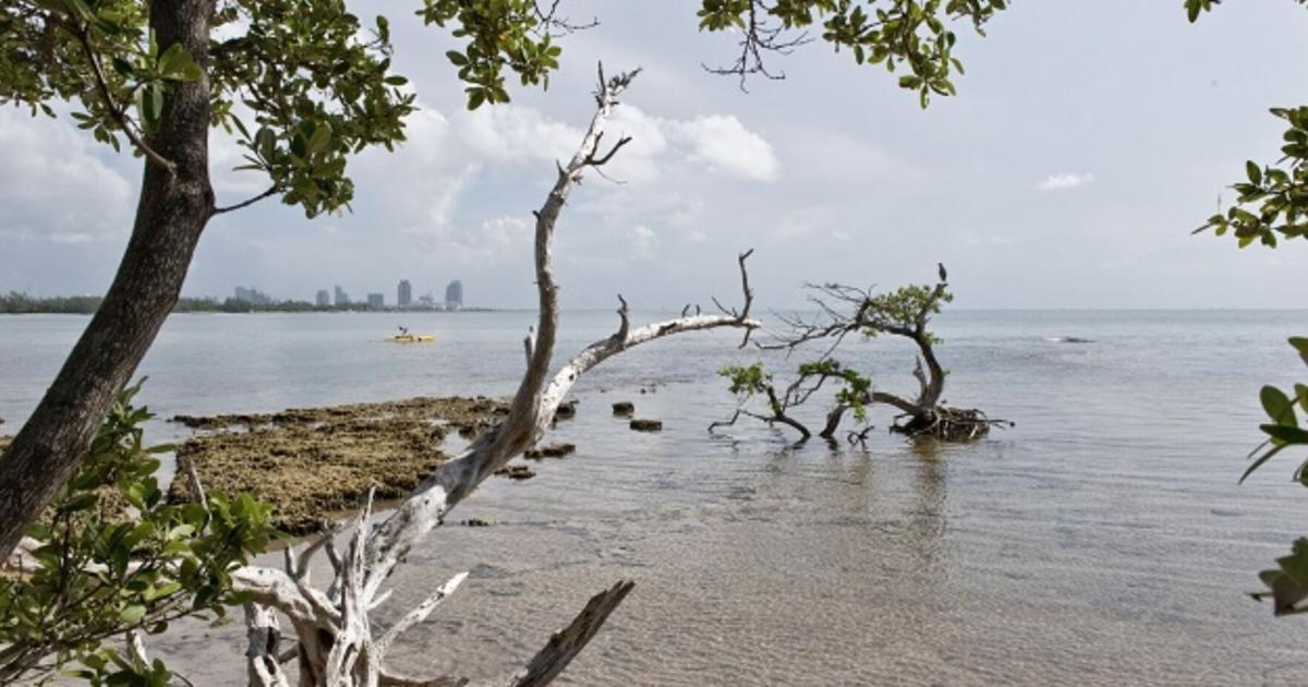 Key Biscayne Sunday forecast: rain returns | Key Biscayne