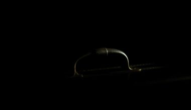 An extreme close-up photograph of a weathered suitcase handle, lit by a harsh flash against a dark background, conceptually representing the gritty investigation into a disturbing crime scene.