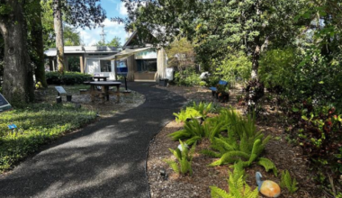 Taking a closer look at Florida friendly gardens | WINK Stop