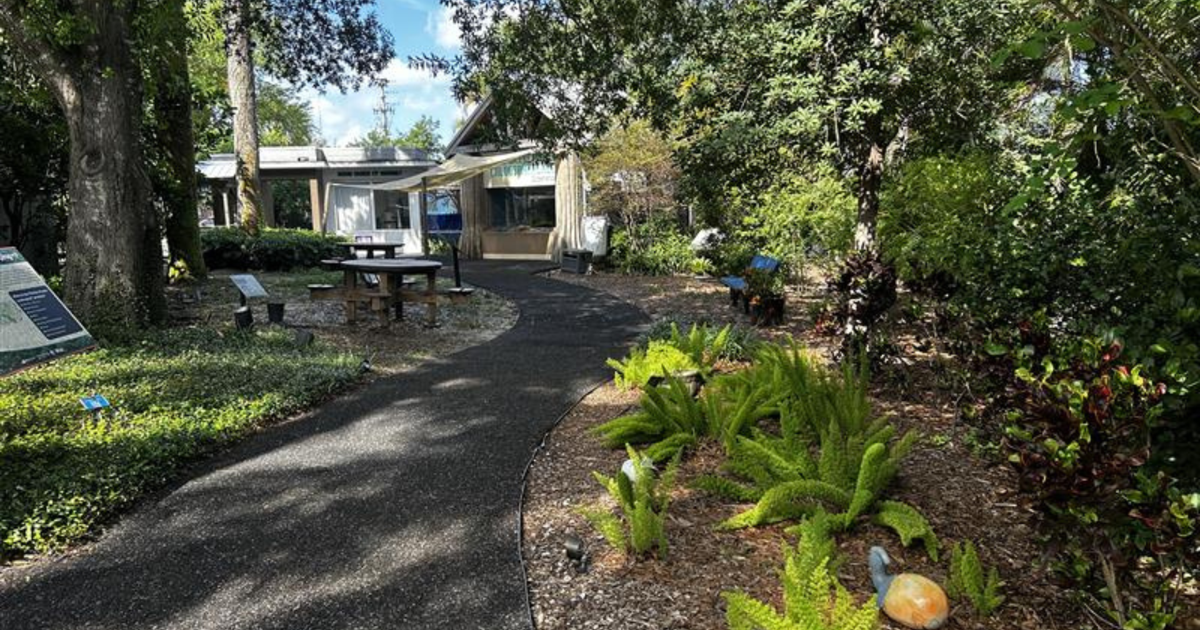 Taking a closer look at Florida friendly gardens | WINK Stop