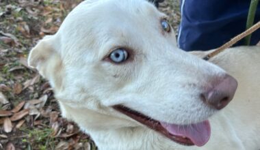 Spring break buddies and beyond!