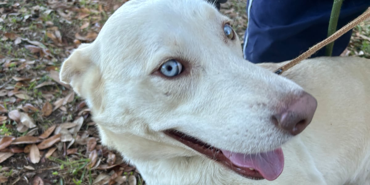 Spring break buddies and beyond!