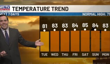 Feeling like spring for the work week 🌸