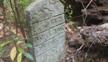 Tallahassee residents call for community help to preserve historic cemeteries
