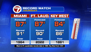 Getting Greener? - WSVN 7News | Miami News, Weather, Sports