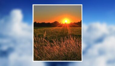 Ernest "Pete" Sloan Obituary March 13, 2026