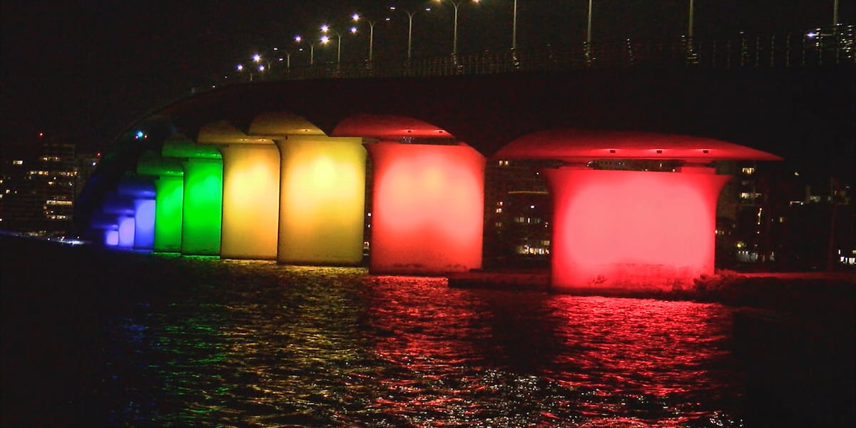 Florida bill banning local DEI spending heads to DeSantis