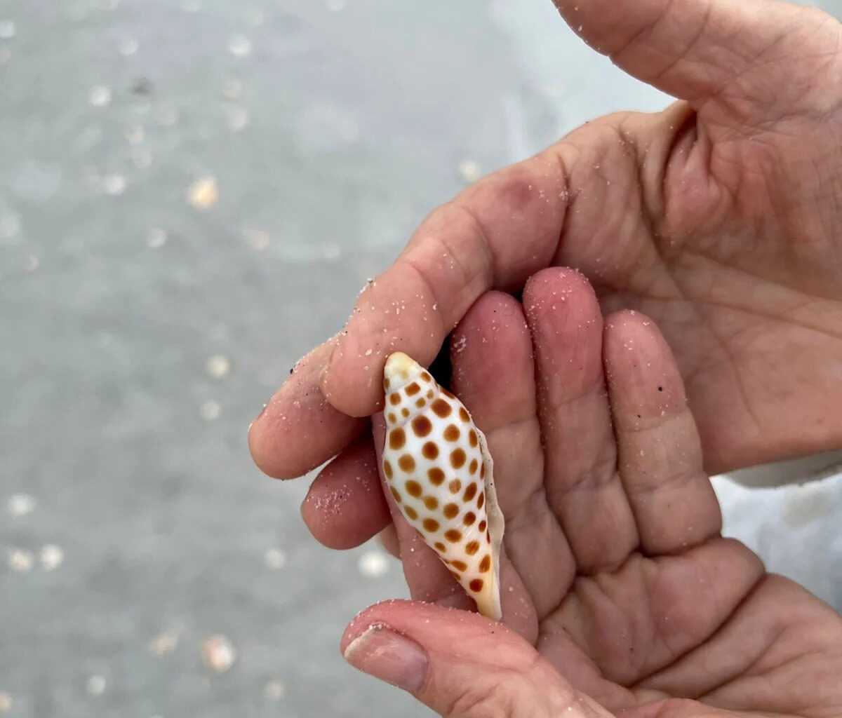 Yahoo lifestyle home