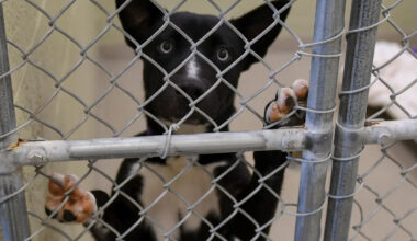 Yahoo lifestyle home