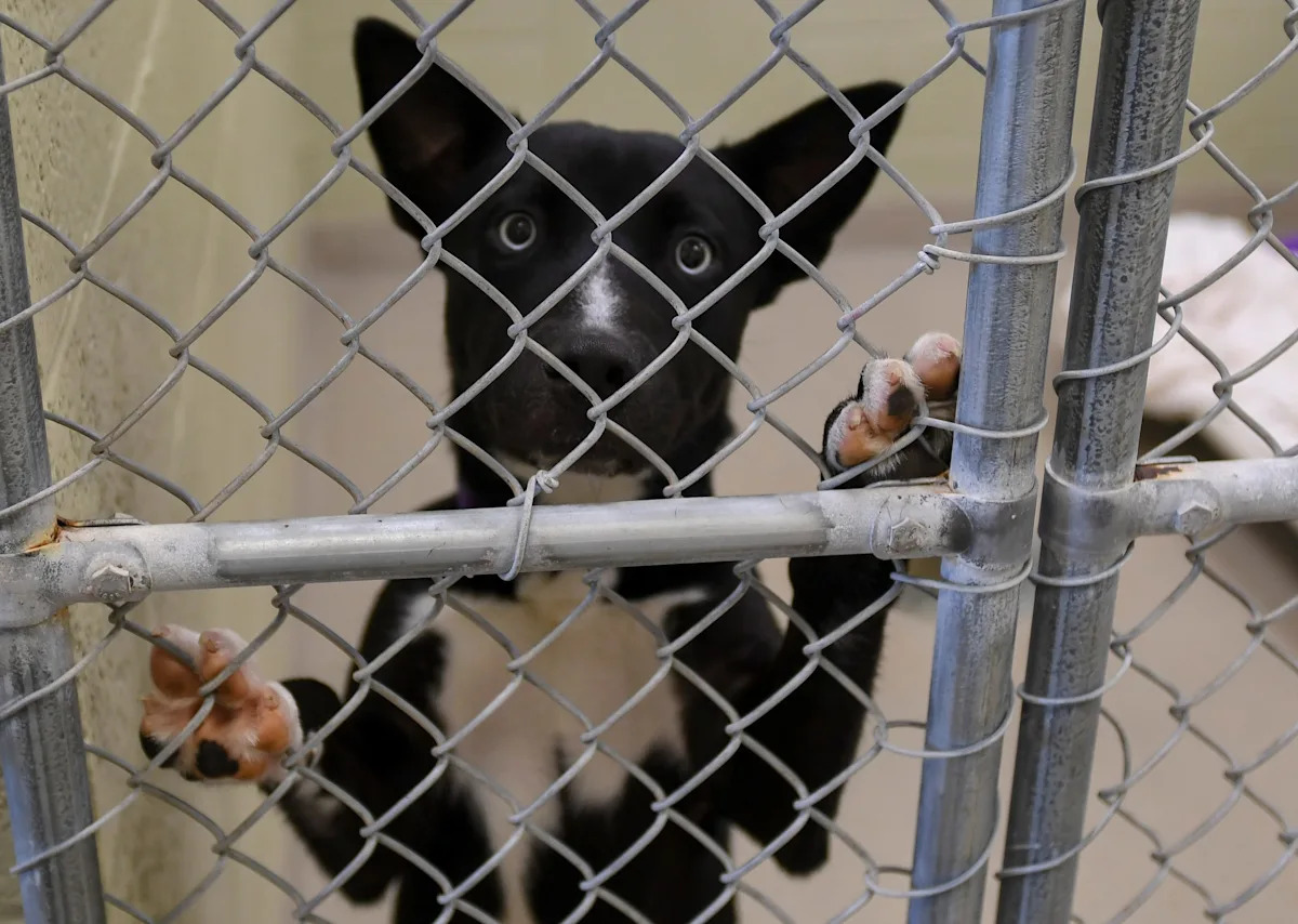 Yahoo lifestyle home