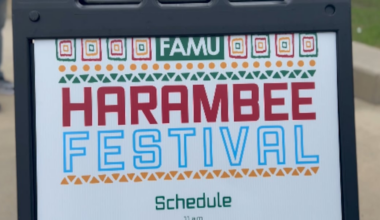 Community gathers at FAMU for 9th annual Harambee Festival