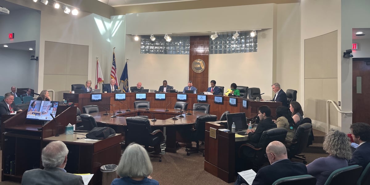 Voters to decide if they support consolidation, functioning under Leon County government