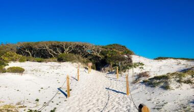 This Captivating Beach State Park In Florida Offers Panoramic Views Of The Gulf Coast