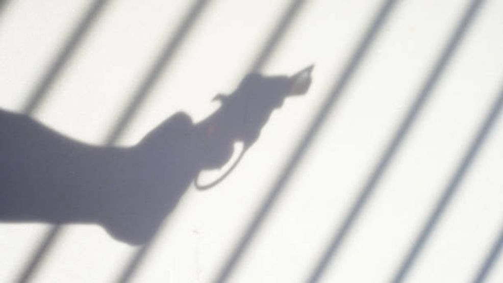 The National Desk dark theme brand icon