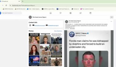 Viral 'dolphin kidnapping' arrest story is fake, Florida deputies say