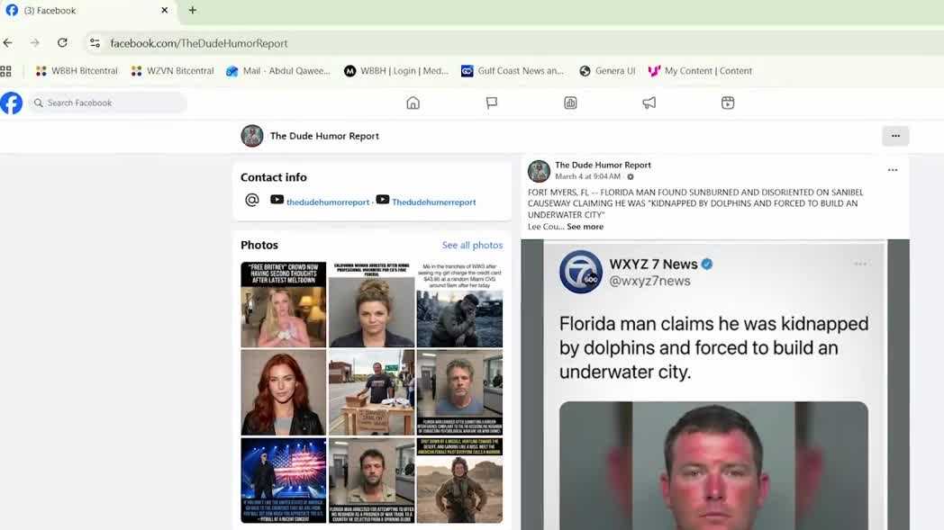 Viral 'dolphin kidnapping' arrest story is fake, Florida deputies say
