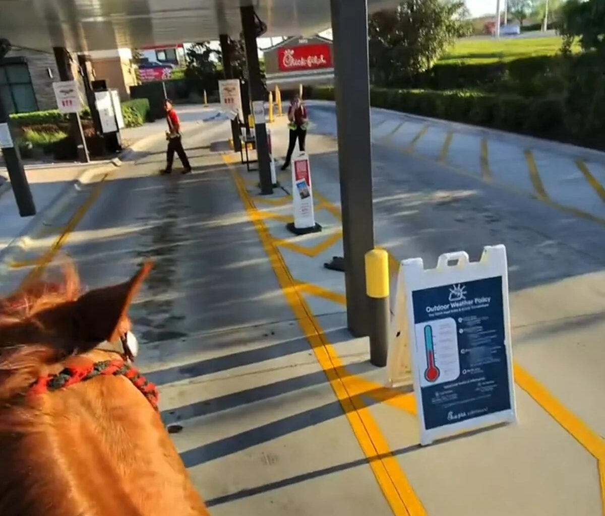 Yahoo entertainment home