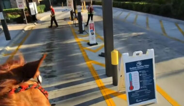 Yahoo entertainment home