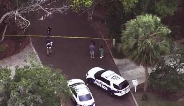 Window installers in Florida shot ﻿over ﻿stolen tools, employee says