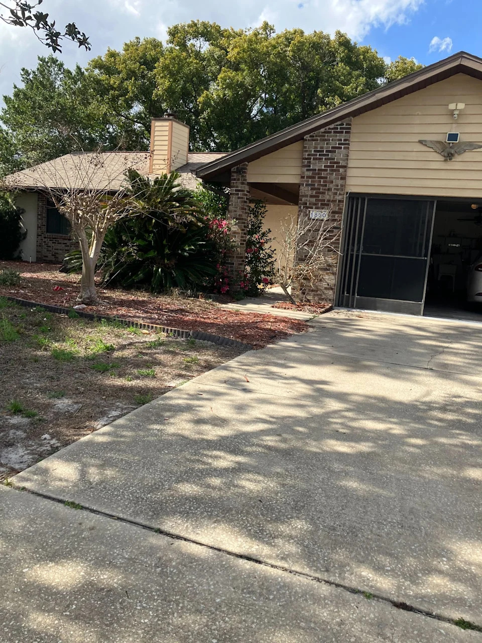 Bill Tavernier, 75, and his 10-year-old Golden Retriever, Gunner, now face the threat of losing their Florida home after discovering that his mother had taken out a reverse mortgage years before her death (Bill Tavernier)