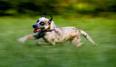 Yahoo lifestyle home