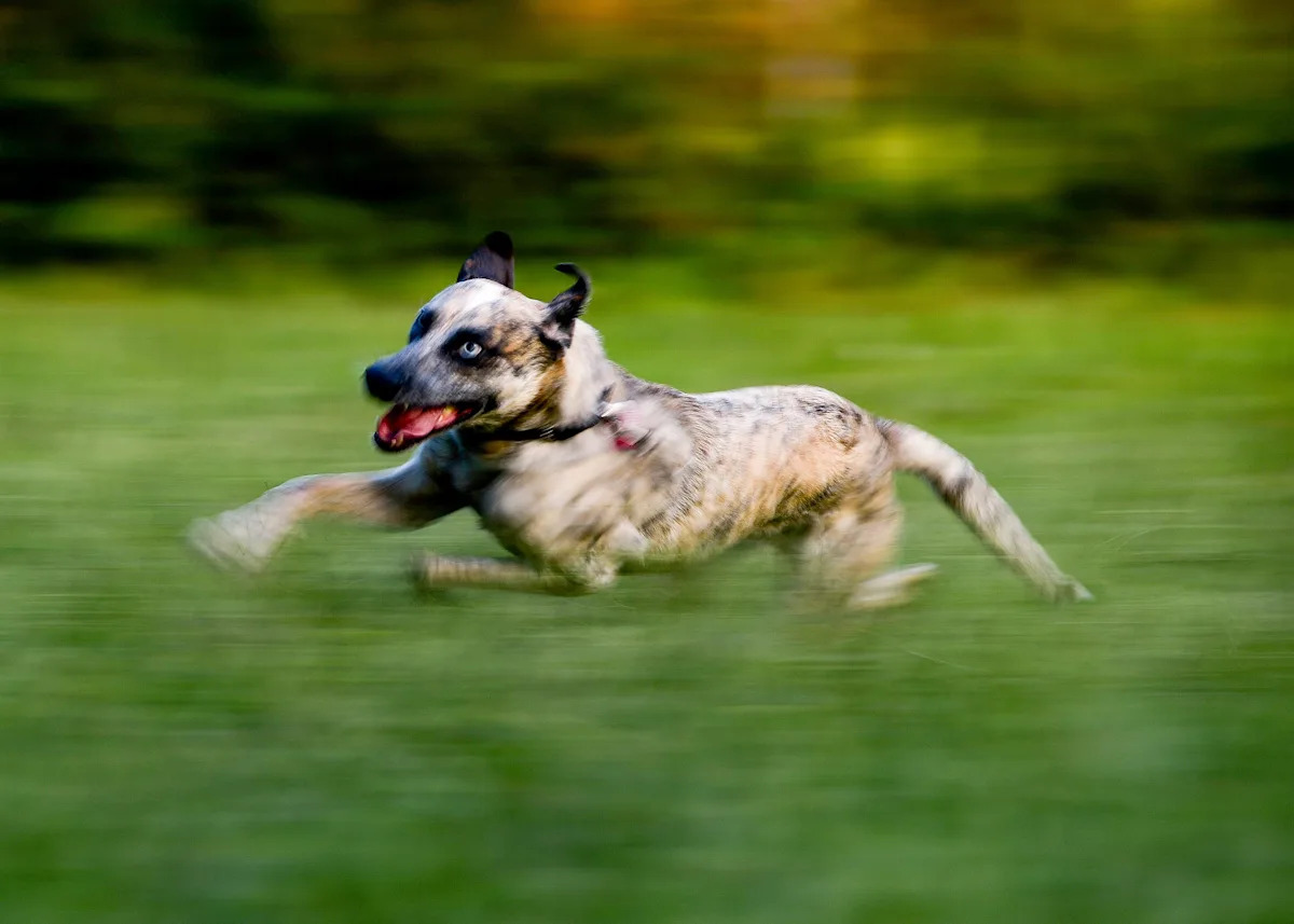 Yahoo lifestyle home