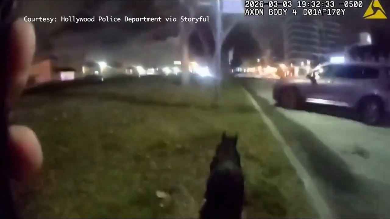 Florida police nab runaway pig