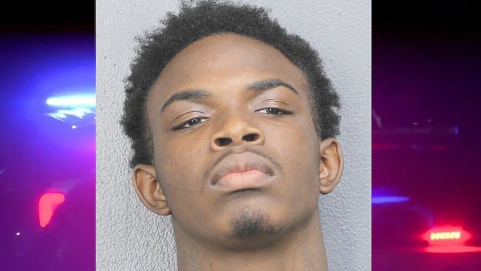 19-year-old duo stole from 16 cars, fled in stolen car, crashed