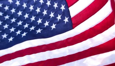 Chicago overtakes new york, miami, florida, st. Petersburg and naples as pet-friendly hotels in the united states redefine travel with luxury resorts rolling out vip experiences for dogs.