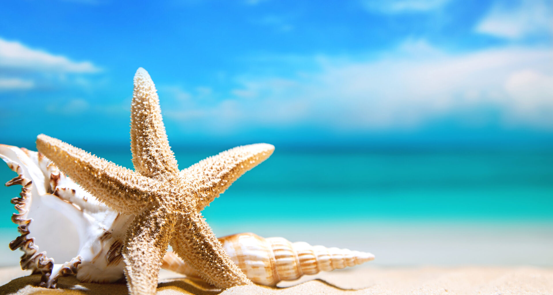 What to do, Where to go