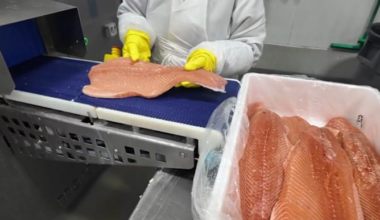 Seafood industry experts warn supply disruptions are pushing seafood prices higher