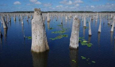 Decades after a Florida canal project was abandoned, advocates are trying to reunite 3 rivers