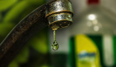 3 Orlando eateries shut down over health violations, records show