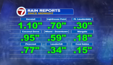 Rare Rain - WSVN 7News | Miami News, Weather, Sports