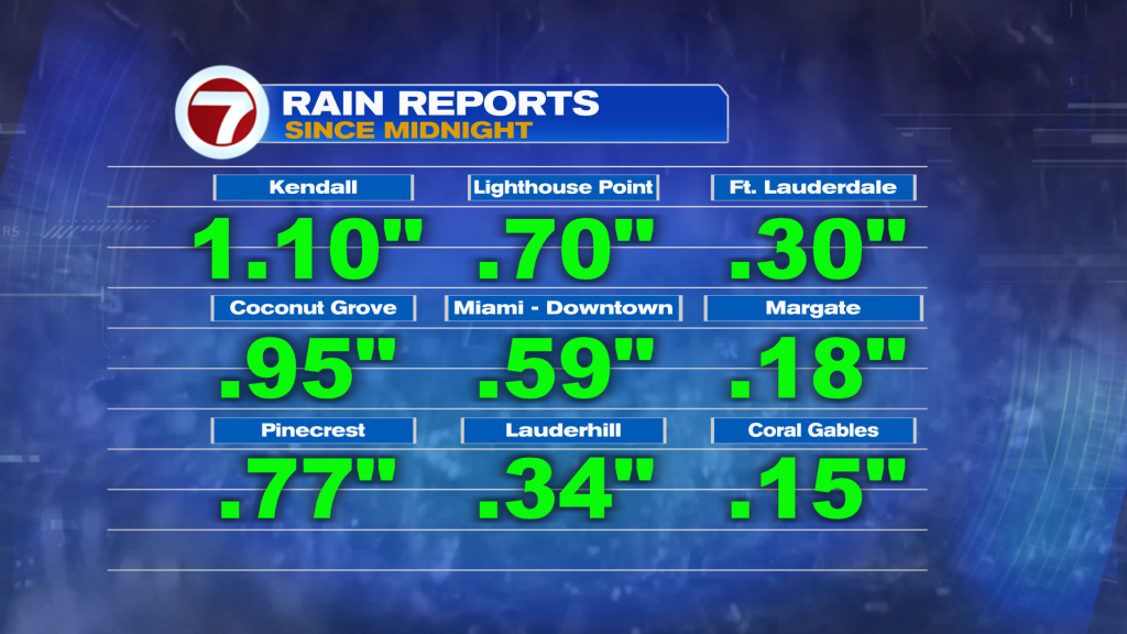 Rare Rain - WSVN 7News | Miami News, Weather, Sports