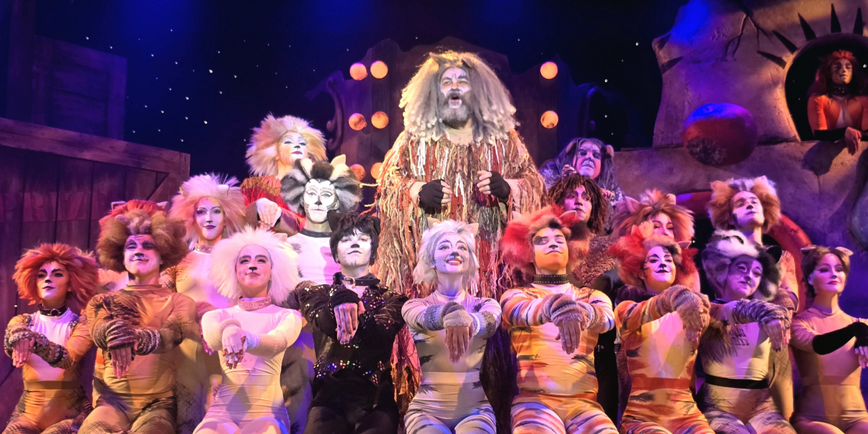 CATS Now Playing At Broadway Palm Dinner Theatre