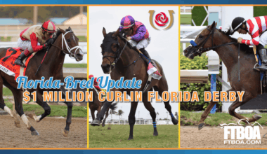 Florida-bred Trio Take on the $1 Million Curlin Florida Derby