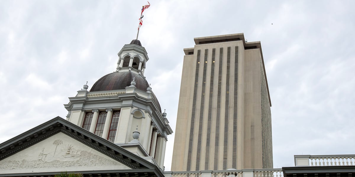 Several North Central Florida bills fail to pass