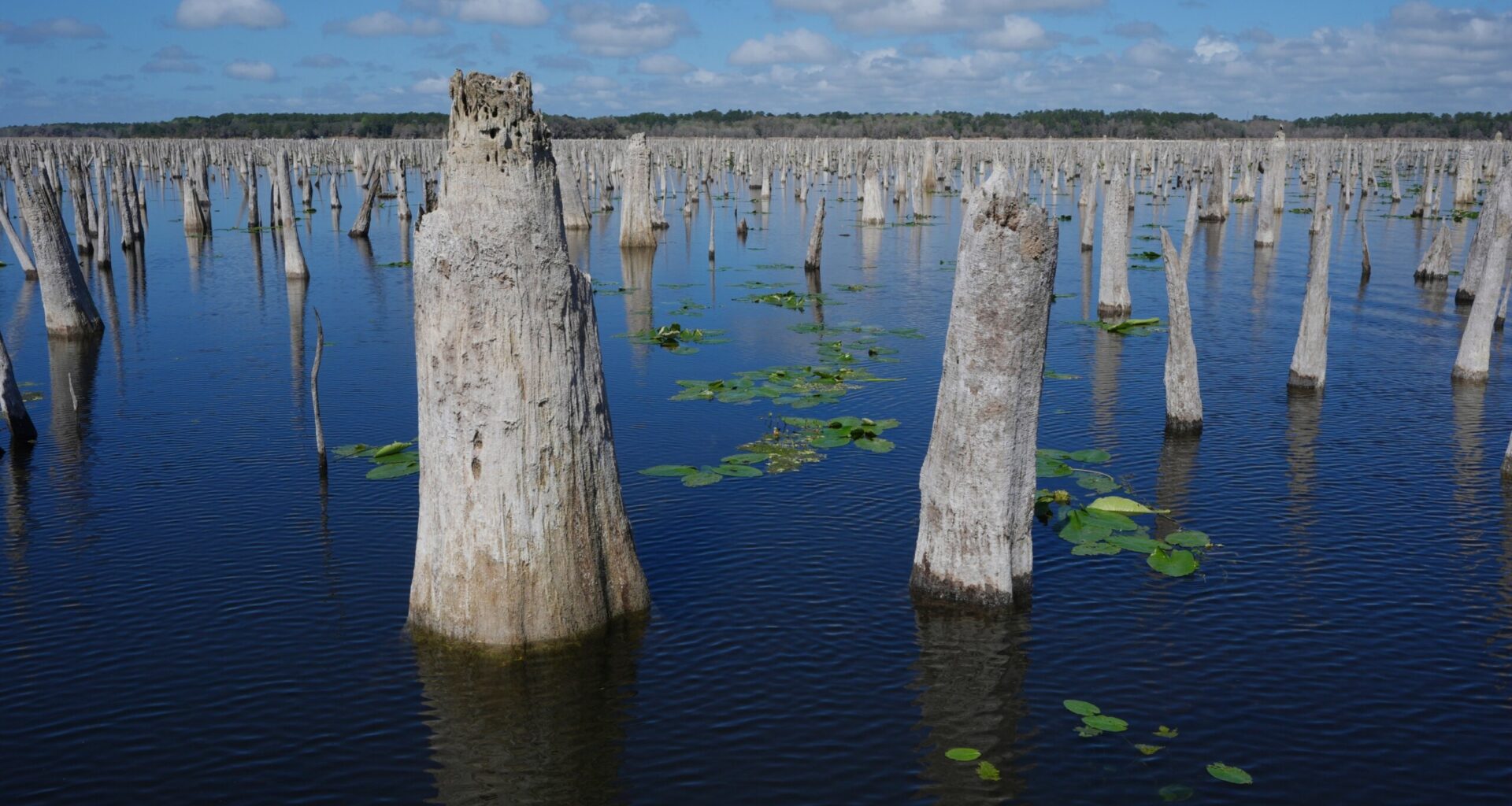Decades after a Florida canal project was abandoned, advocates are trying to reunite 2 rivers