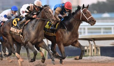 Commandment, Chief Wallabee Meet Again in Florida Derby