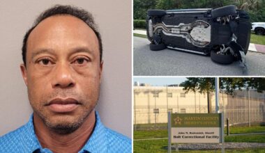 Tiger Woods mugshot revealed after crash, DUI arrest