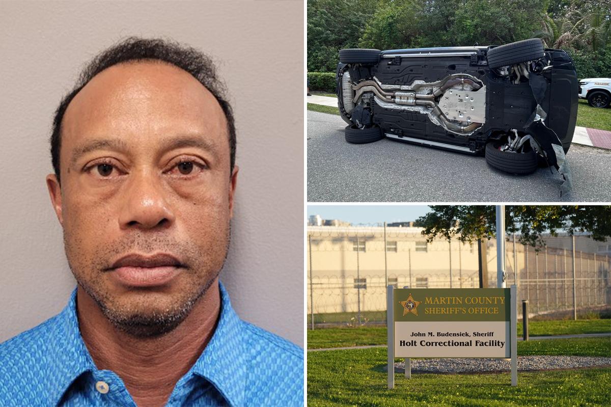 Tiger Woods mugshot revealed after crash, DUI arrest
