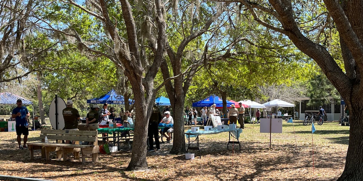 Florida scrub-jay celebrated at wildlife festival