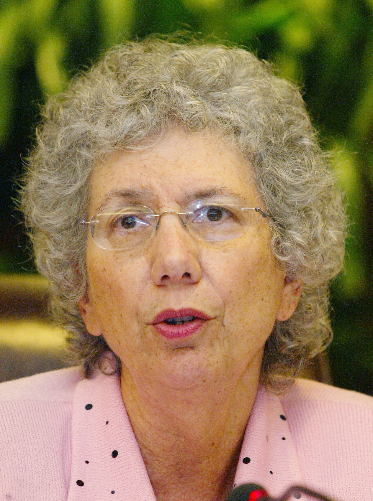 Opposed to the plan, Broward County Commissioner of district 6,...