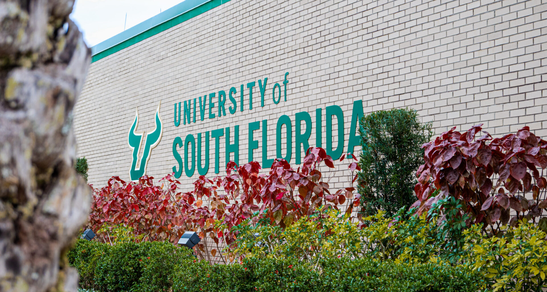 USF environmental organizations petition to reinstate the Office of Sustainability
